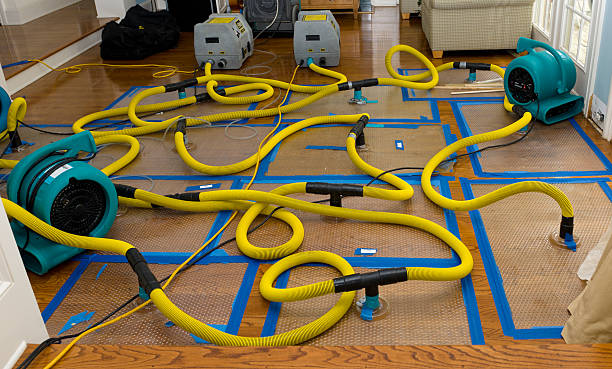 Professional Burst Pipe Water Damage technician working in Ulman, MO